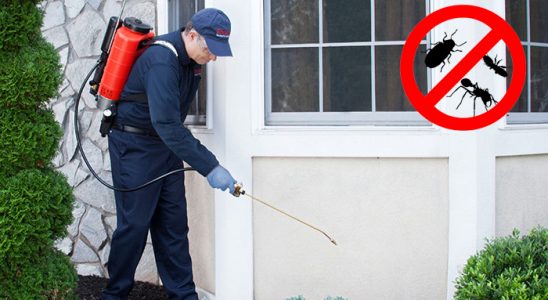 Sivaslı Uçan Haşere İlaçlama böcek ilaçlama ve haşere kontrolü — ilaclama-tr.com